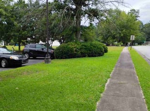 Sharon M.'s turf care service result
