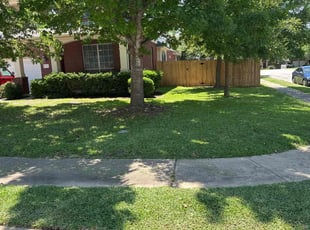 George C.'s lawn care service result
