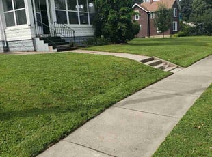 Virgil A.'s lawn care service result