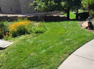Amy A.'s lawn service service result