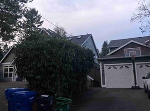 Ty G.'s Bush Trimming service result