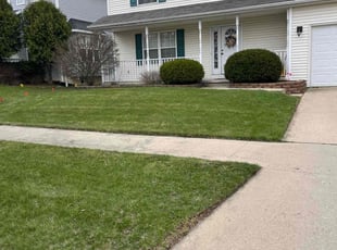 Eric L.'s lawn service service result