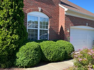 Cheryl E.'s Bush Trimming service result