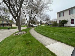 Logan M.'s lawn service service result