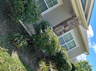 Geri C.'s Bush Trimming service result