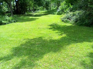 Ashlee B.'s grass cutting service result