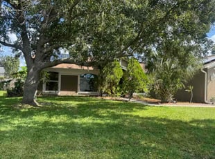 Joseph N.'s lawn care service result