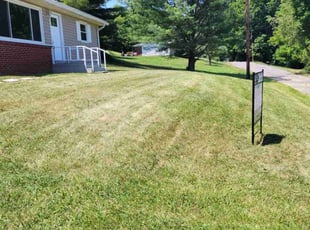 Ed A.'s grass maintenance service result