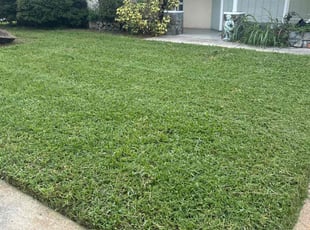 Chris L.'s turf maintenance service result