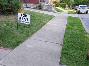 Nicholi H.'s lawn care services service result