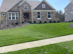 Sandra B.'s grass maintenance service result