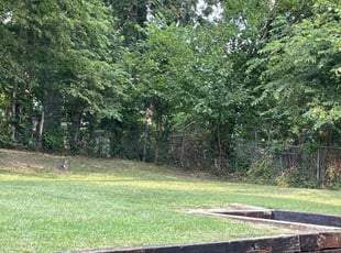 Trevor M.'s lawn care service result
