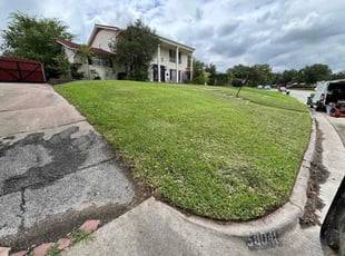 Aurelia B.'s grass cutting service result