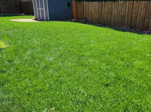 Ron M.'s grass cutting service result