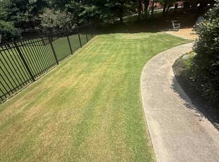 Chantel A.'s lawn service service result