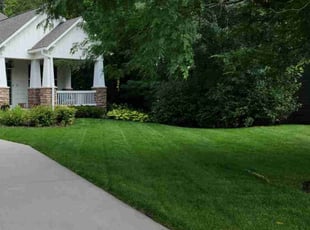 Edward M.'s yard service service result