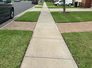 Pamela H.'s grass cutting service result