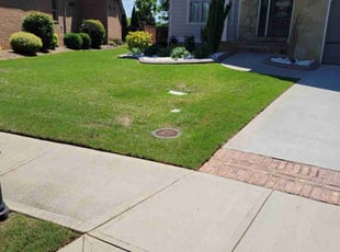 Tonya S.'s turf care service result