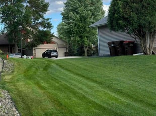 Celestine P.'s lawn maintenance service result