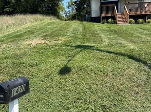 Daniel R.'s lawn care service result
