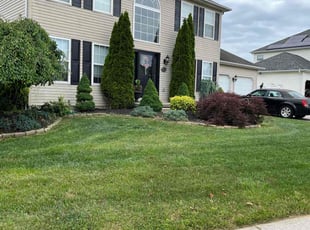 Charlotte S.'s turf care service result