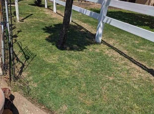 Nancy Y.'s grass cutting service result