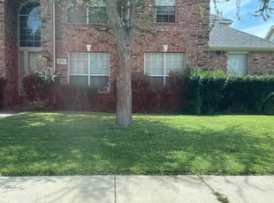 Jada J.'s lawn care services service result