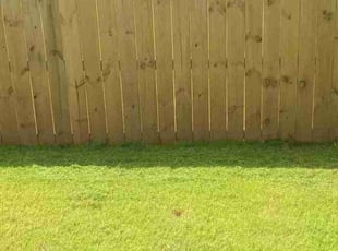 Daniel M.'s lawn care service result