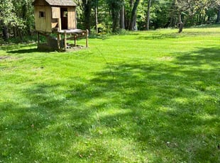 Derek H.'s lawn care services service result