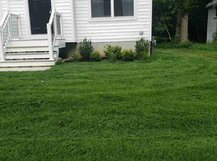 Sonya P.'s turf care service result
