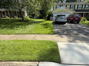 Sandy W.'s lawn service service result