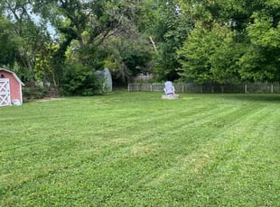 Joyce L.'s grass cutting service result