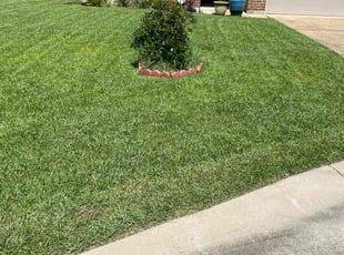 Donald W.'s turf maintenance service result