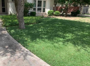 Debbie C.'s gardening service service result