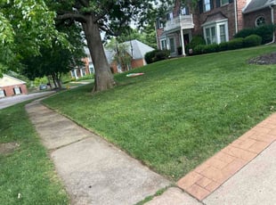Essie E.'s lawn maintenance service result