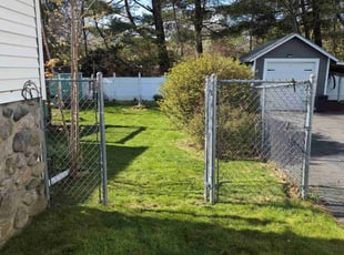 Pauline P.'s grass maintenance service result