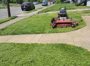 David M.'s lawn care service result