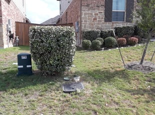 Penelope B.'s Bush Trimming service result