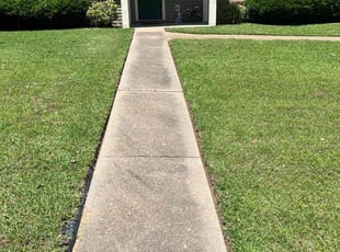 Keith P.'s lawn maintenance service result