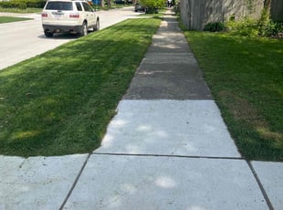 Samuel M.'s lawn care service result