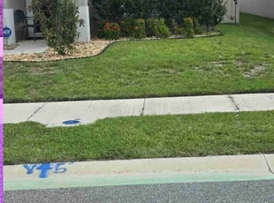 Mike B.'s turf maintenance service result