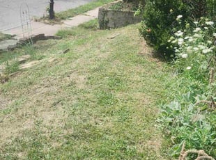 Connie J.'s turf maintenance service result