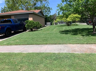 Wasyhun T.'s grass cutting service result