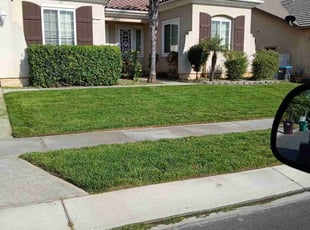 Victoria M.'s grass maintenance service result