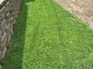 Harrison Z.'s turf maintenance service result