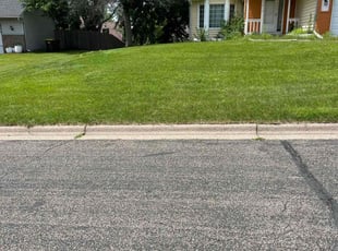 Ricardo C.'s lawn care service result