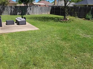 Andrew D.'s grass cutting service result