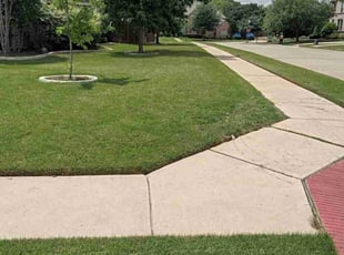 Jeremy R.'s grass cutting service result
