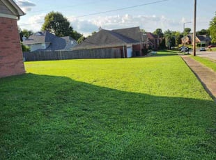 Larry H.'s turf care service result