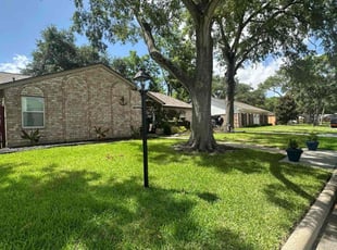 Denis D.'s lawn care service result